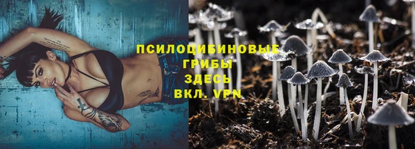 кокс Алзамай