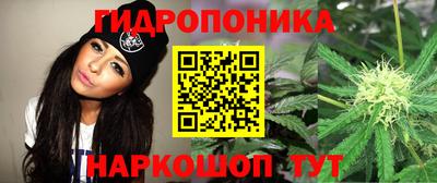 скорость Моздок